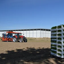 Profil działalności